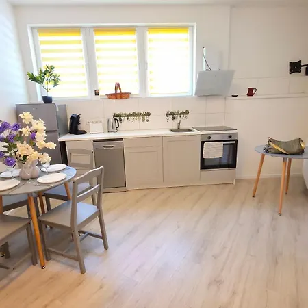 アパート Blumenhof Hbf ドゥイスブルグ